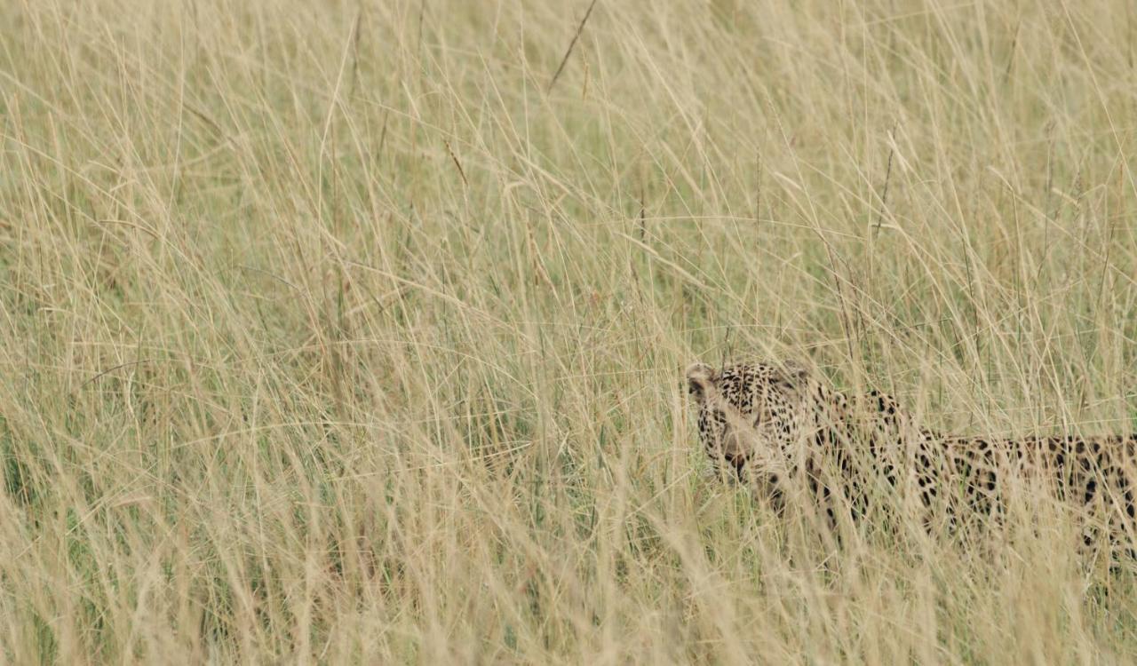 Ololo Safari Lodge Nairobi Bagian luar foto